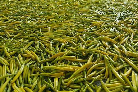 無(wú)硫金針菜烘干如何保持品相？不發(fā)黑？