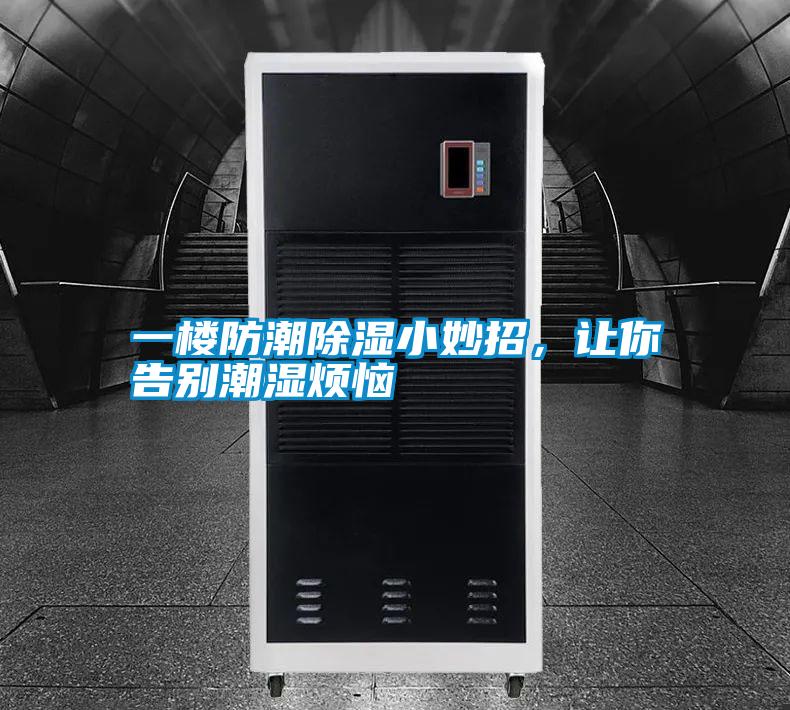 一樓防潮除濕小妙招，讓你告別潮濕煩惱