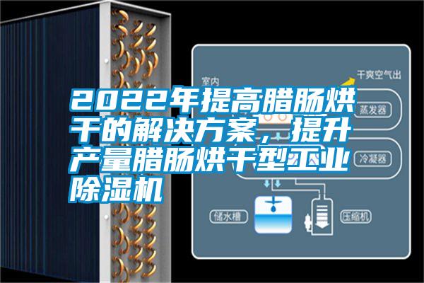 2022年提高臘腸烘干的解決方案，提升產量臘腸烘干型工業(yè)除濕機