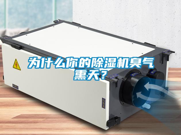為什么你的除濕機臭氣熏天？
