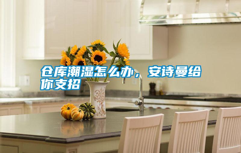 倉庫潮濕怎么辦，安詩曼給你支招