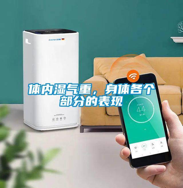 體內濕氣重，身體各個部分的表現(xiàn)
