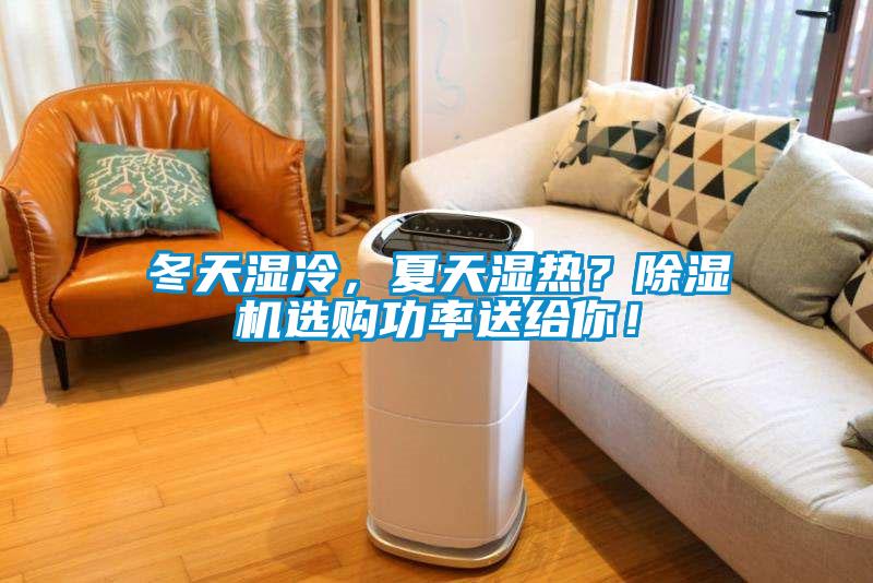 冬天濕冷，夏天濕熱？除濕機選購功率送給你！