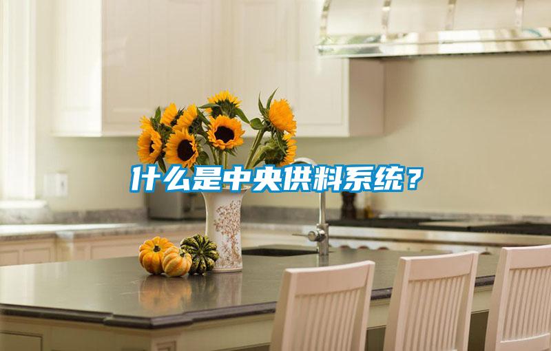 什么是中央供料系統(tǒng)？