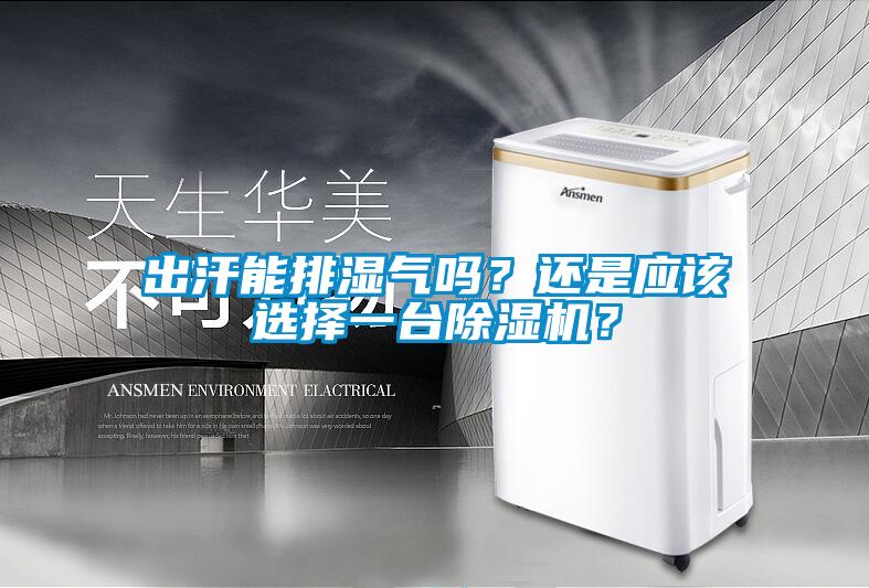 出汗能排濕氣嗎？還是應該選擇一臺除濕機？