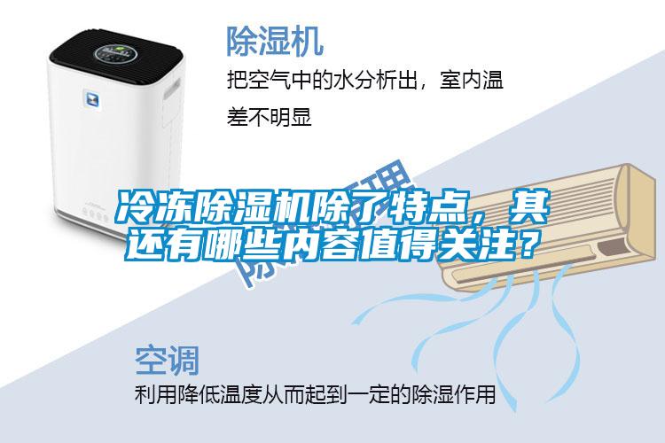 冷凍除濕機除了特點,其還有哪些內容值得關注?