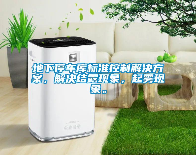 地下停車庫標準控制解決方案，解決結(jié)露現(xiàn)象，起霧現(xiàn)象。