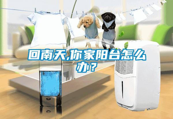 回南天,你家陽(yáng)臺(tái)怎么辦？