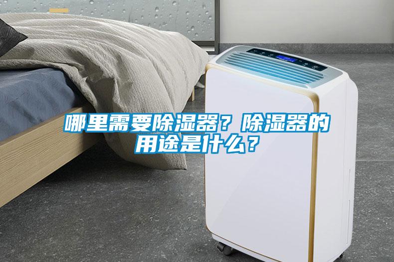 哪里需要除濕器？除濕器的用途是什么？