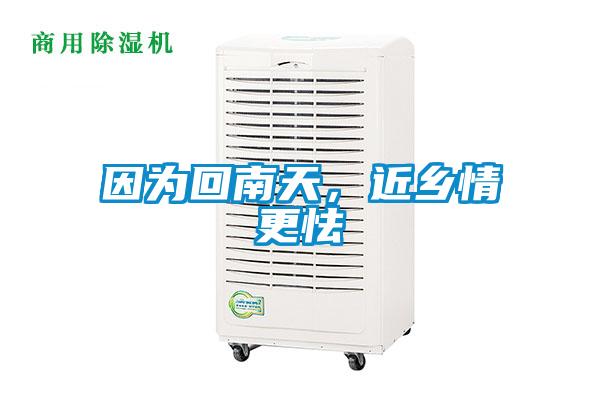 因?yàn)榛啬咸?，近鄉(xiāng)情更怯