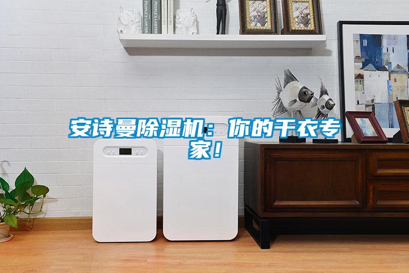 安詩曼除濕機：你的干衣專家！