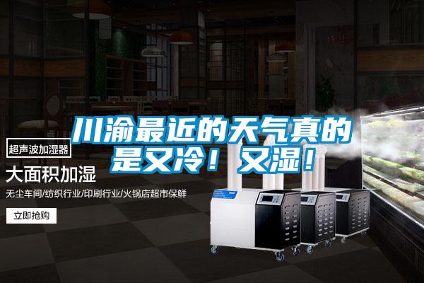 川渝最近的天氣真的是又冷！又濕！