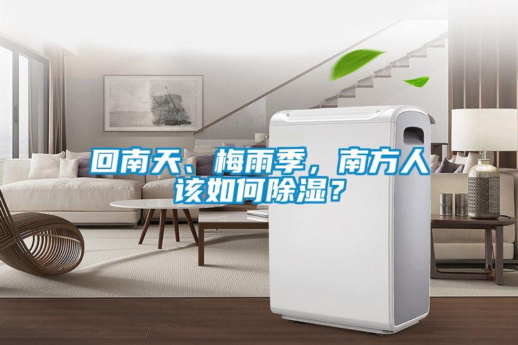 回南天、梅雨季，南方人該如何除濕？
