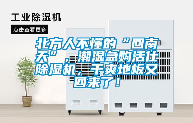 北方人不懂的“回南天”，潮濕急購活仕除濕機，干爽地板又回來了！