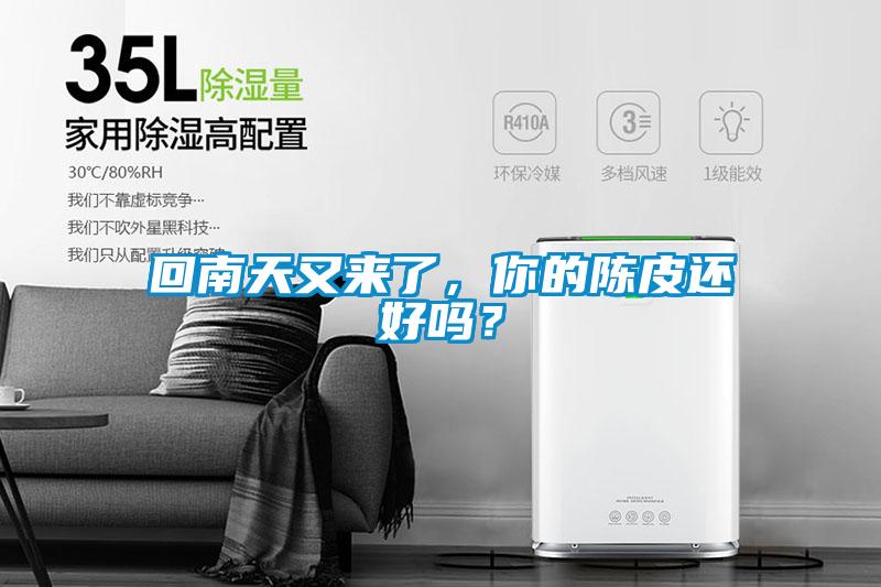 回南天又來(lái)了，你的陳皮還好嗎？