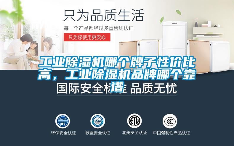 工業(yè)除濕機(jī)哪個牌子性價比高，工業(yè)除濕機(jī)品牌哪個靠譜