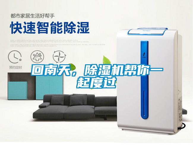 回南天，除濕機幫你一起度過
