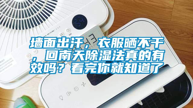 墻面出汗，衣服曬不干，回南天除濕法真的有效嗎？看完你就知道了