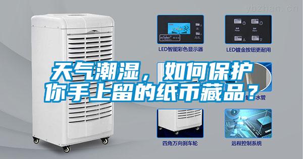 天氣潮濕，如何保護你手上留的紙幣藏品？