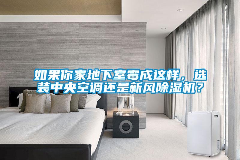如果你家地下室霉成這樣，選裝中央空調(diào)還是新風(fēng)除濕機(jī)？