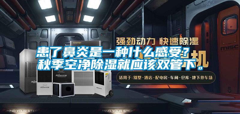 患了鼻炎是一種什么感受？ 秋季空凈除濕就應該雙管下。