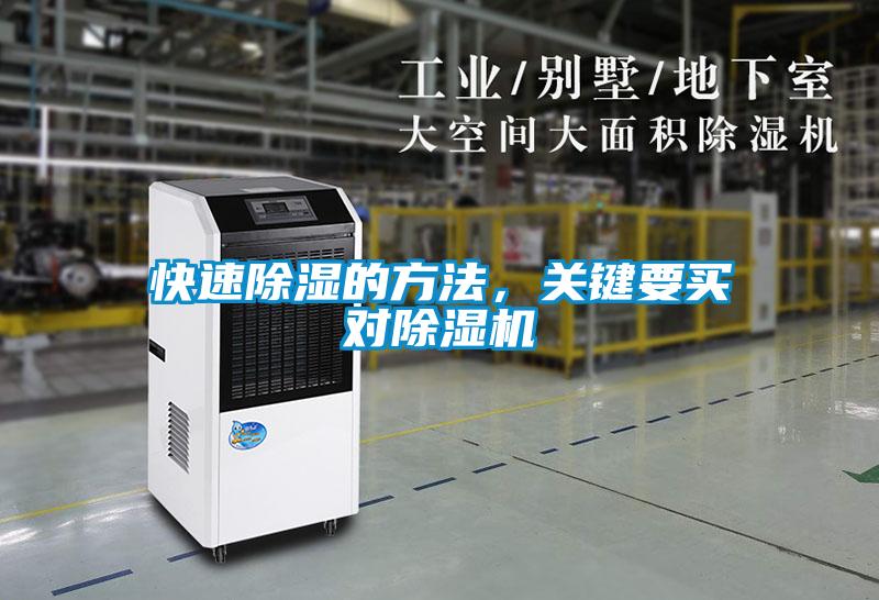 快速除濕的方法，關鍵要買對除濕機