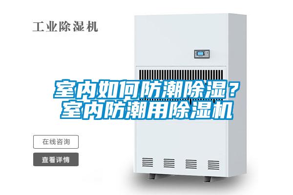 室內如何防潮除濕？室內防潮用除濕機