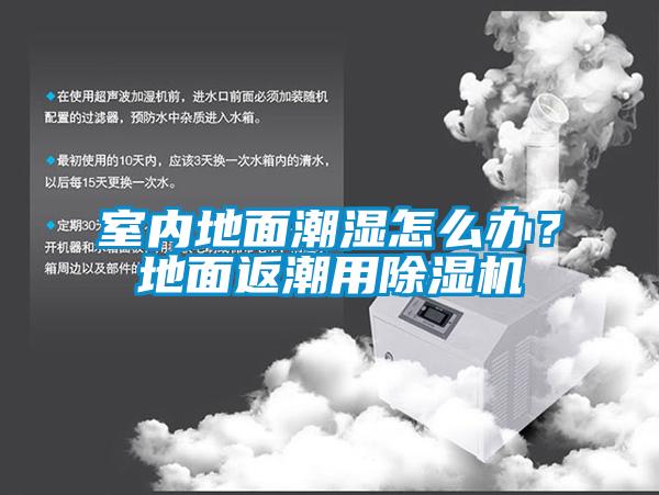室內地面潮濕怎么辦？地面返潮用除濕機