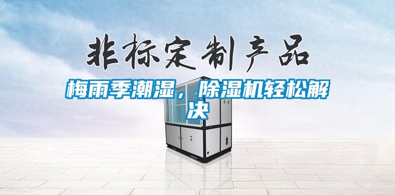 梅雨季潮濕，除濕機輕松解決