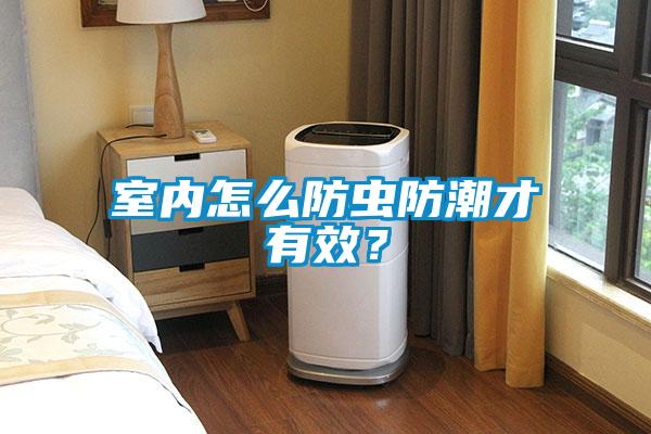 室內怎么防蟲防潮才有效？