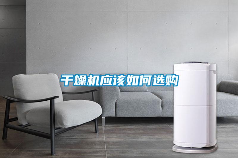年年除濕年年濕，如何快速除濕？