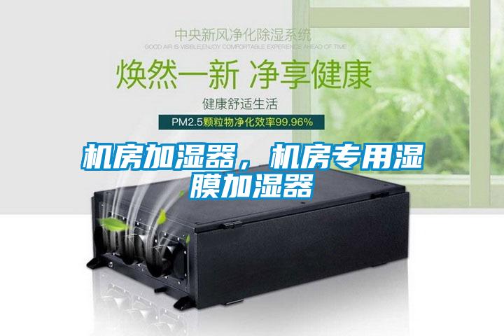機(jī)房加濕器，機(jī)房專(zhuān)用濕膜加濕器