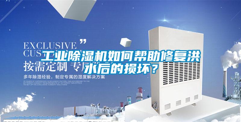 工業(yè)除濕機如何幫助修復洪水后的損壞？