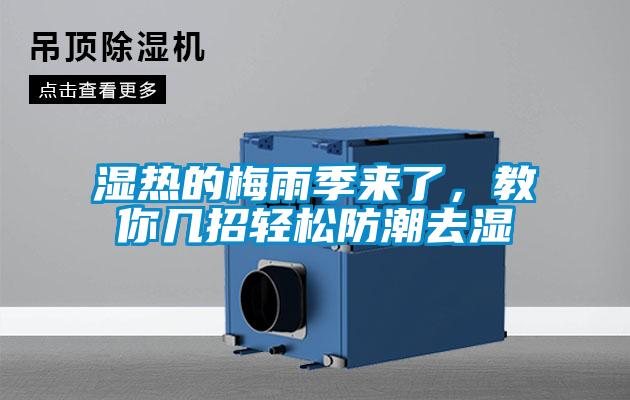 濕熱的梅雨季來(lái)了，教你幾招輕松防潮去濕