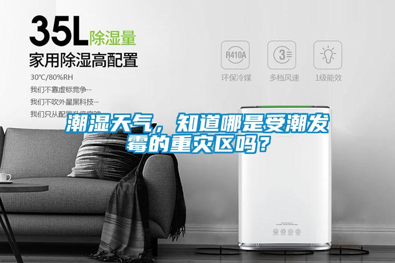 潮濕天氣，知道哪是受潮發霉的重災區嗎？