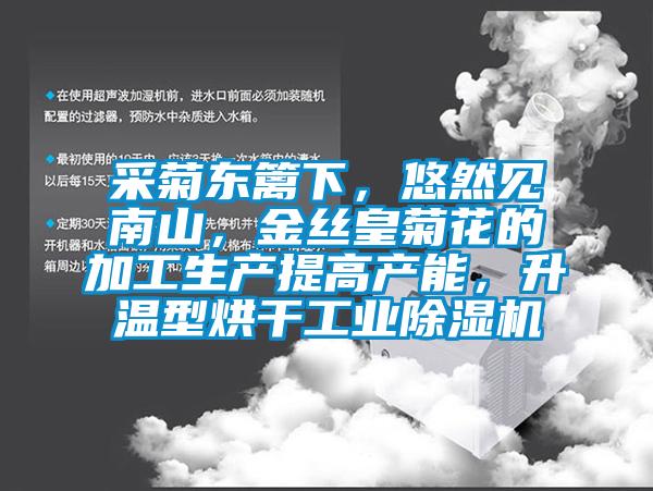 采菊東籬下，悠然見南山，金絲皇菊花的加工生產提高產能，升溫型烘干工業(yè)除濕機