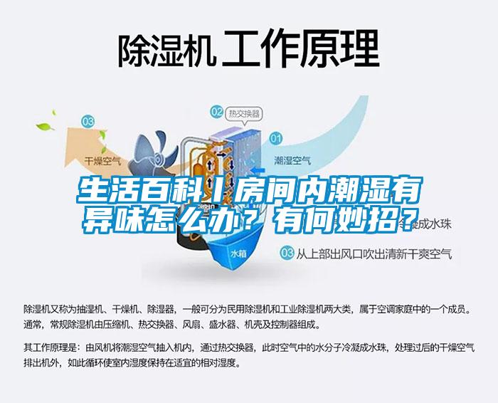 生活百科丨房間內(nèi)潮濕有異味怎么辦？有何妙招？
