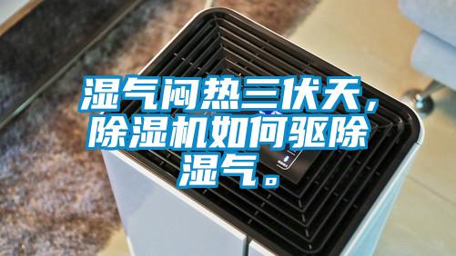 濕氣悶熱三伏天，除濕機如何驅除濕氣。
