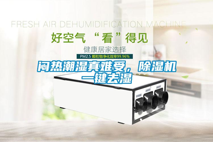 悶熱潮濕真難受，除濕機一鍵去濕