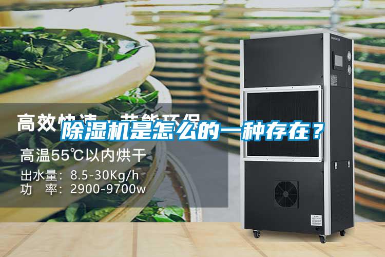 除濕機是怎么的一種存在？