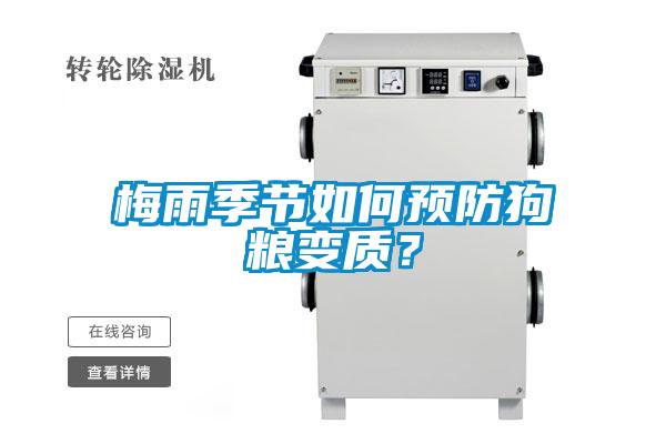 梅雨季節如何預防狗糧變質？