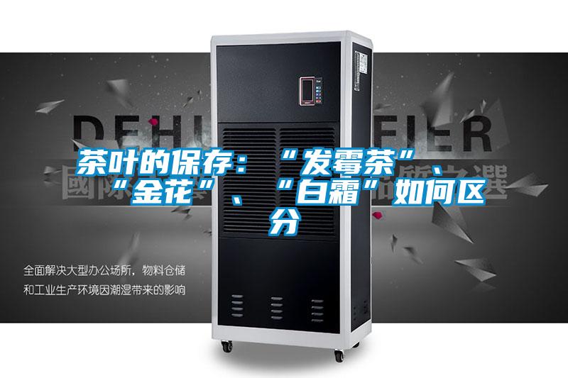 茶葉的保存：“發霉茶”、“金花”、“白霜”如何區分