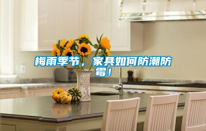 梅雨季節，家具如何防潮防霉！