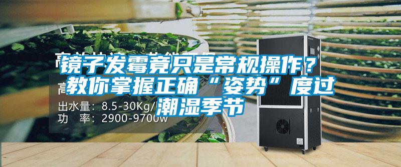 鏡子發(fā)霉竟只是常規(guī)操作？ 教你掌握正確“姿勢”度過潮濕季節(jié)