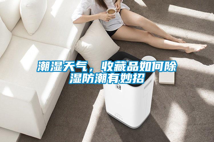 潮濕天氣，收藏品如何除濕防潮有妙招