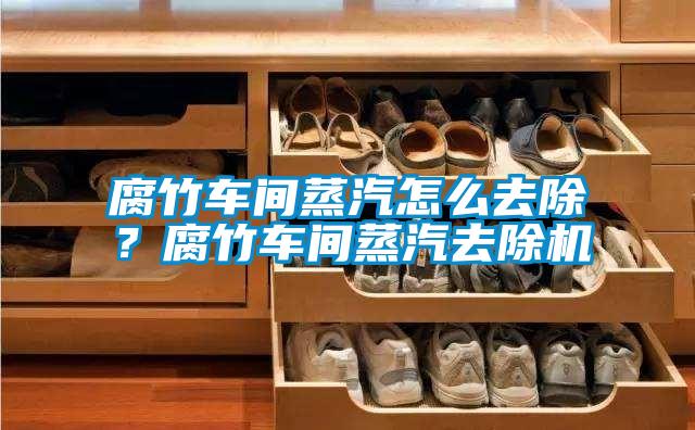 腐竹車間蒸汽怎么去除？腐竹車間蒸汽去除機
