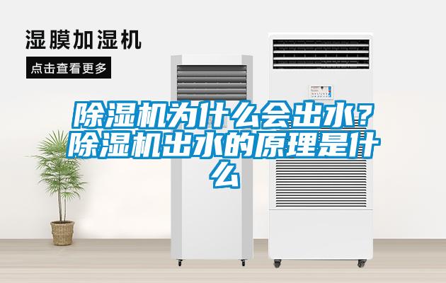 除濕機為什么會出水？除濕機出水的原理是什么