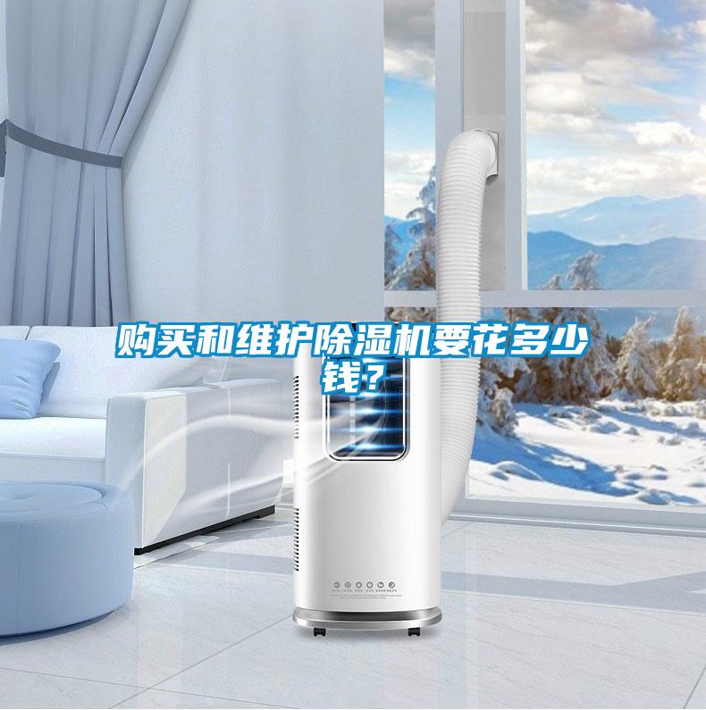 購買和維護除濕機要花多少錢？
