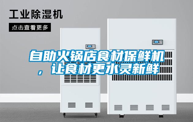 自助火鍋店食材保鮮機，讓食材更水靈新鮮
