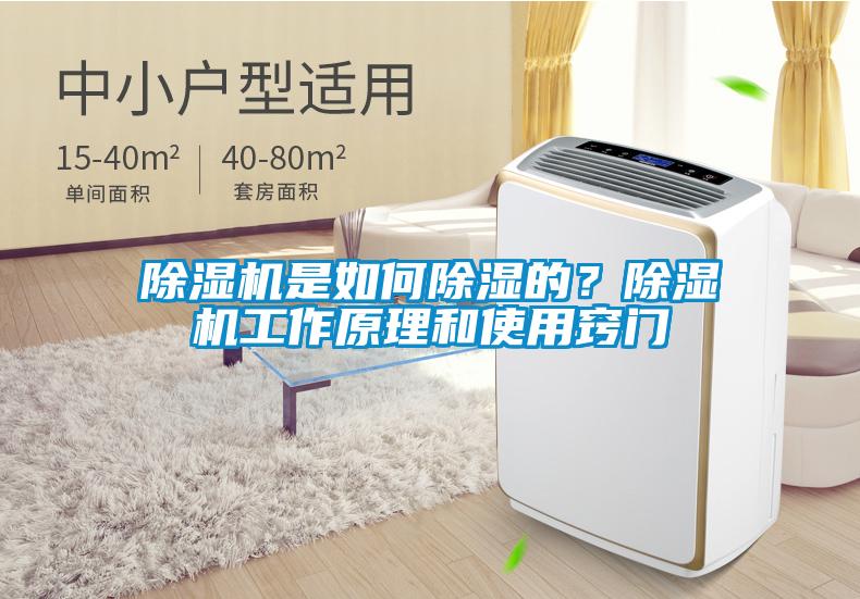 除濕機(jī)是如何除濕的？除濕機(jī)工作原理和使用竅門